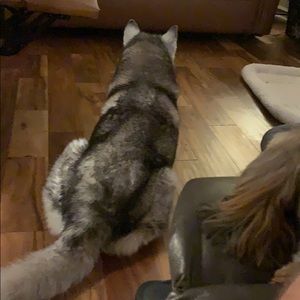 Meet your Posher, Phillip b